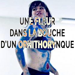 B-pedagogie-une-fleur-dans-la-bouche-d'un-ornithorynque